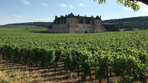 Le don du sang déguisé, c’est ce mardi au château du Clos Vougeot